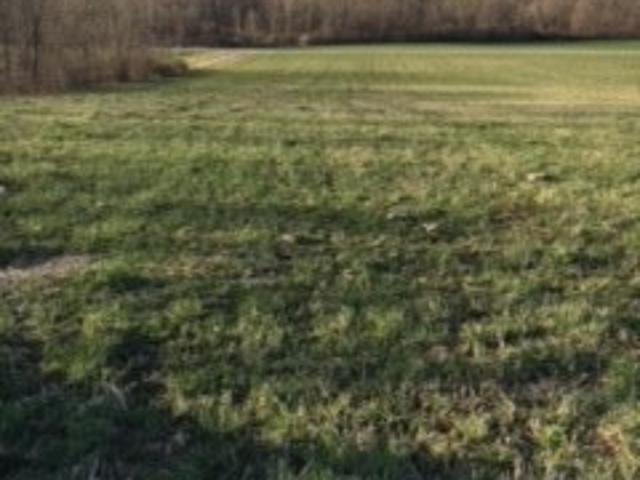 Property for sale in Bergen, New York