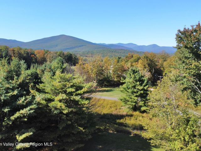Property for sale in Olive, New York
