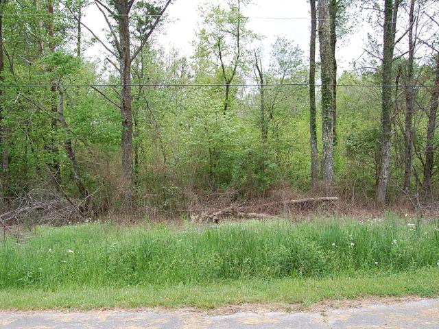 Land for sale in Tennessee