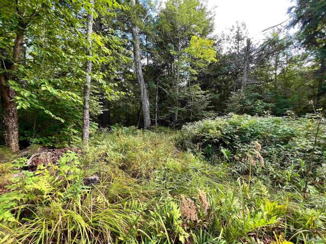 Land for sale in Houghton, Michigan