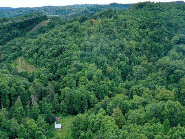 Land for sale in Cleveland, Russell County