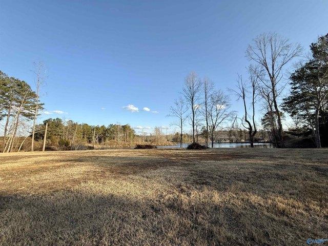 Land for sale in Etowah, Alabama