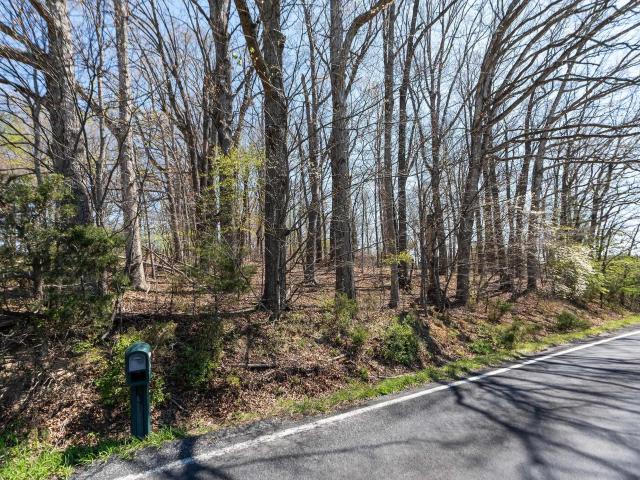 Land for sale in Virginia