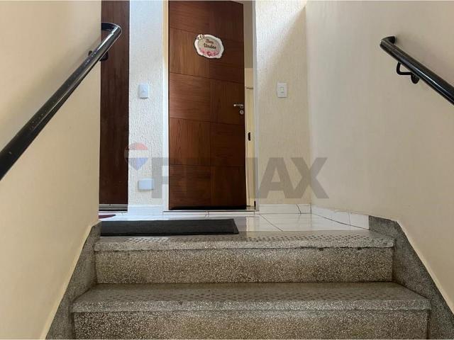 Apartamento aluguel em Região Geográfica Imediata de Curitiba, Região Metropolitana de Curitiba