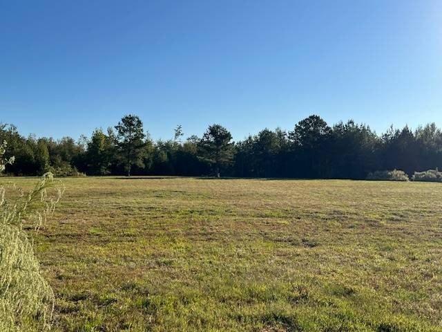 Land for sale in Luverne, Alabama