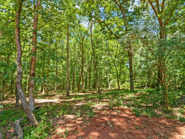 Land for sale in Lavonia, Georgia