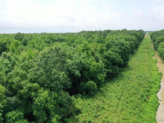 Farm for sale in Neelyville, Missouri