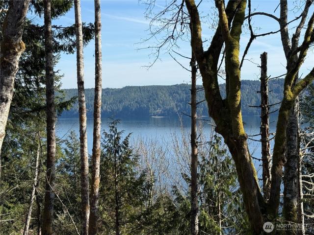Land for sale in Lilliwaup, Washington