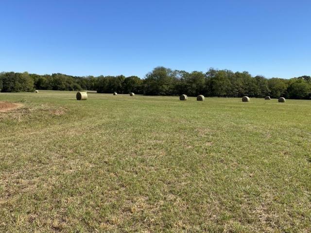 Land for sale in Franklin, Texas