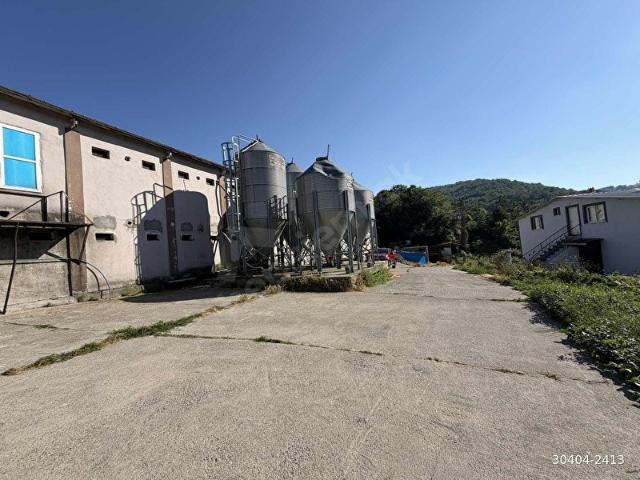 Zonguldak Merkez, Zonguldak içerisinde satılık Fabrika