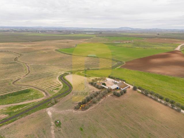 Terreno venda em Sochinhas, Elvas