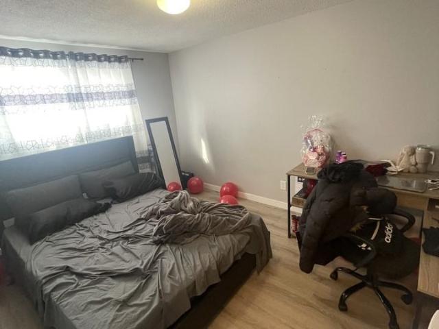 Apartment for rent in Waterloo, Ontario