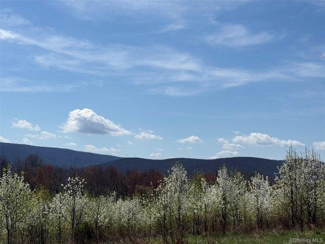 House for sale in Blooming Grove, New York