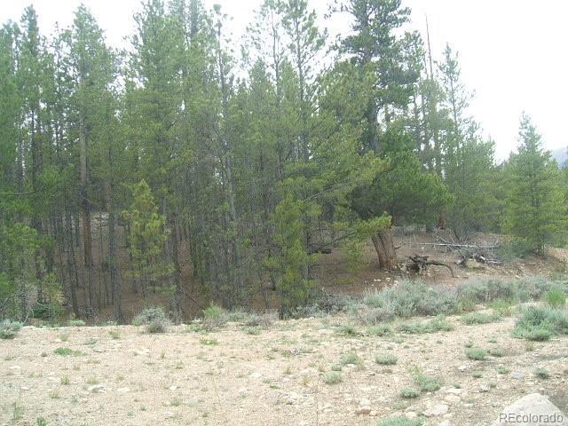 Land for sale in Leadville, Colorado