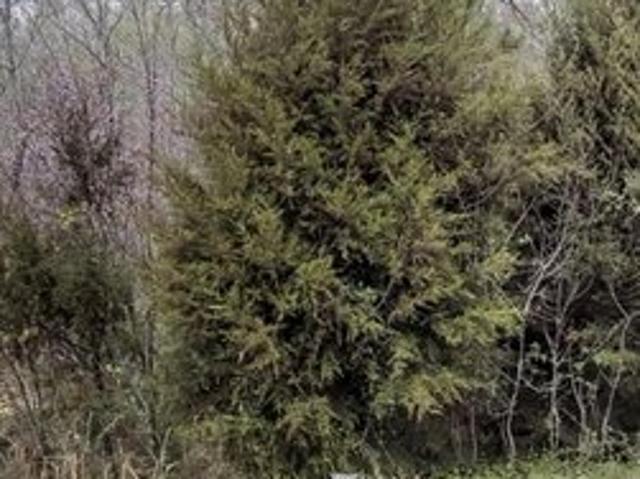 Land for sale in Chatham, North Carolina