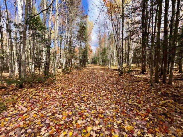 Land for sale in Stewartstown, Coös County