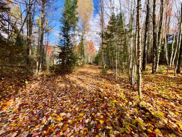 Land for sale in Stewartstown, Coös County