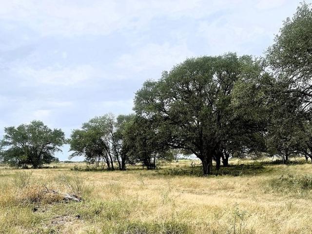 Land for sale in Hallettsville, Texas