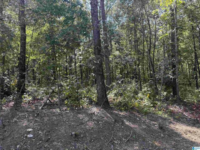 Land for sale in Wilsonville, Shelby County