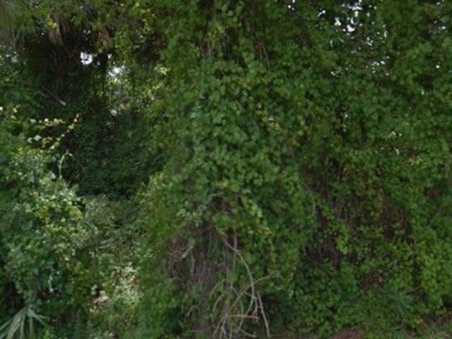 Land for sale in Palm Coast, Flagler County