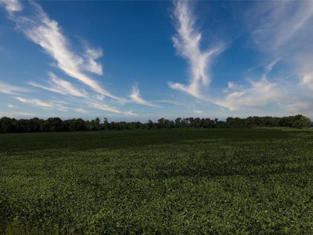 Land for sale in Washington, Missouri