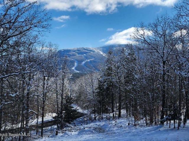 House for sale in East Jewett, New York