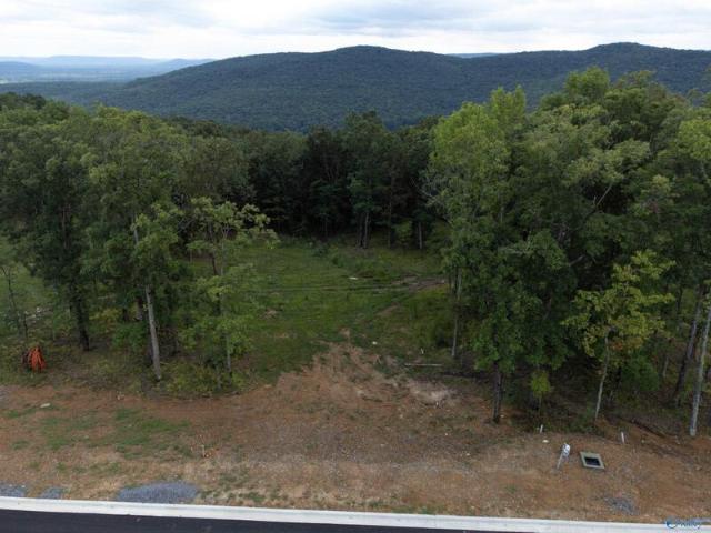 Land for sale in Owens Cross Roads Land for sale in Owens Cross Roads