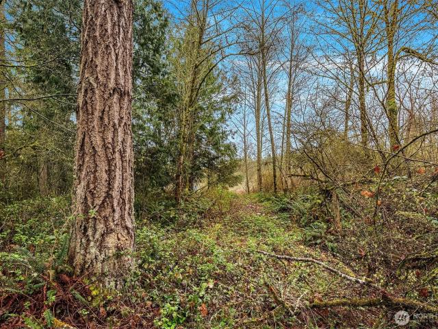 Property for sale in Carnation, Washington