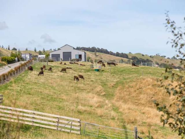Property for sale in Opaki, Wellington