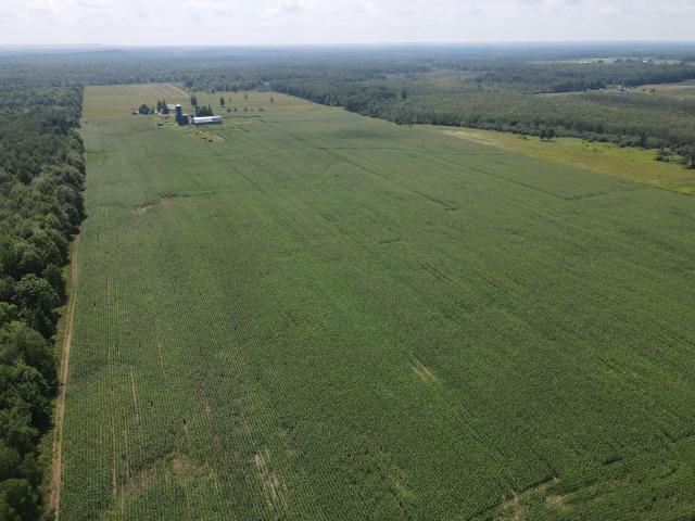 Land for sale in Ogema, Wisconsin