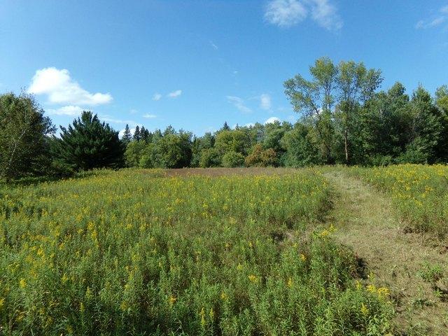 Land for sale in Harris, Minnesota