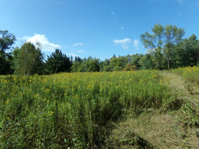 Land for sale in Harris, Minnesota