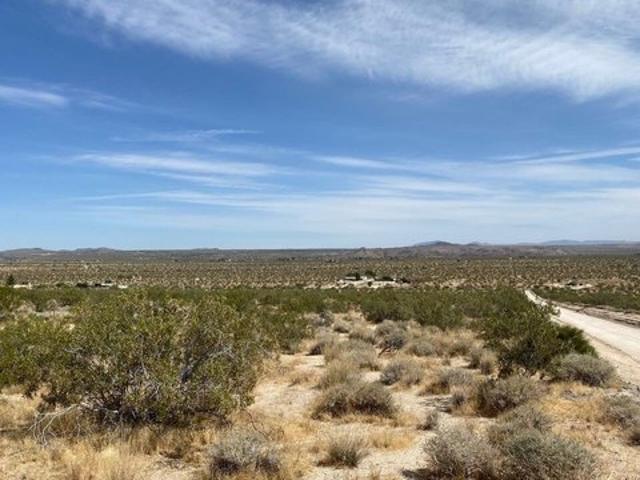 Land for sale in Joshua Tree, California