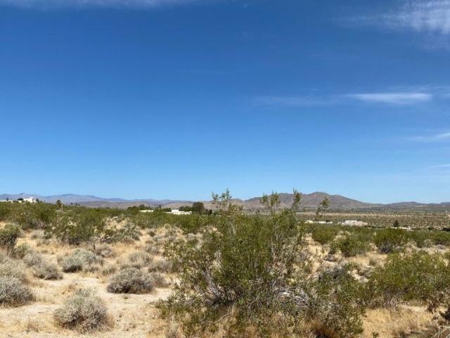 Land for sale in Joshua Tree, California
