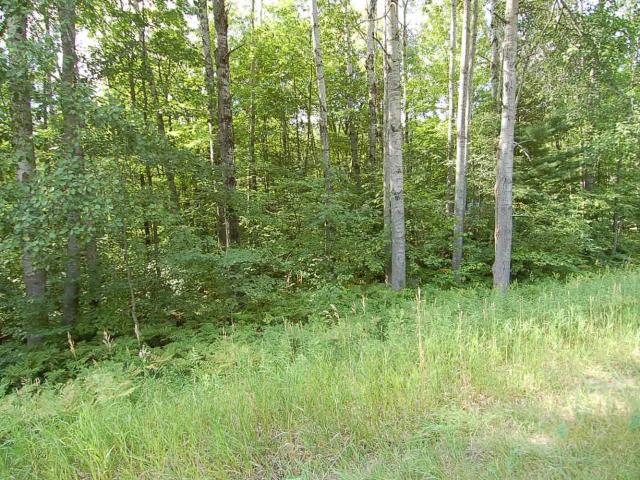 Land for sale in Michigan