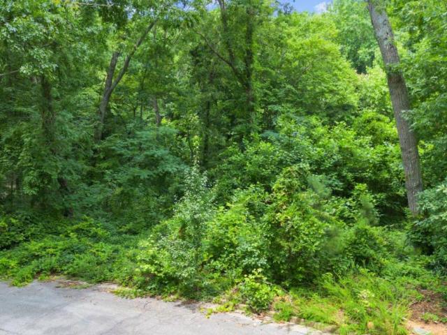 Land for sale in Arbor Station, Douglasville
