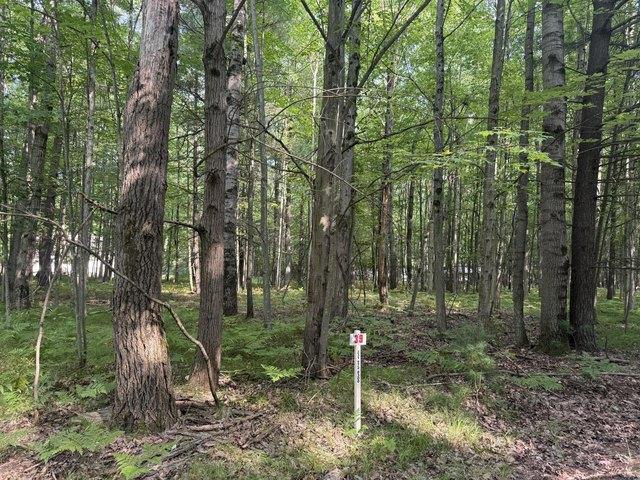 Land for sale in Stanwood, Michigan