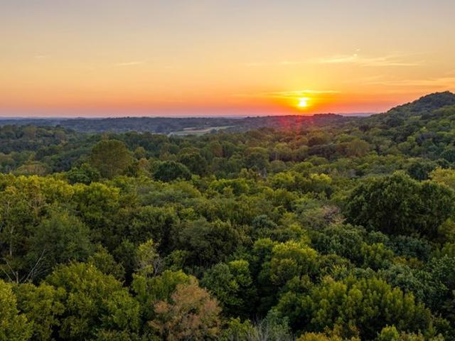 Land for sale in College Grove, Middle Tennessee