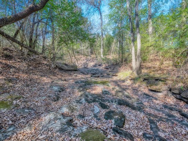Land for sale in Burton, Texas