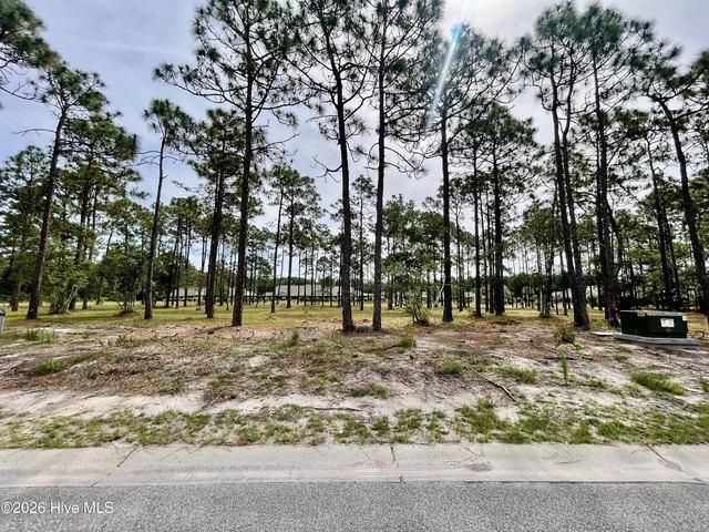 Land for sale in Ocean Isle Beach, North Carolina