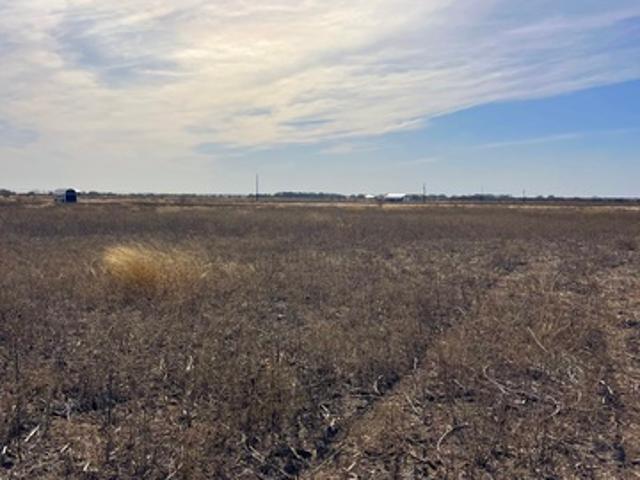 Land for sale in D Hanis, Texas