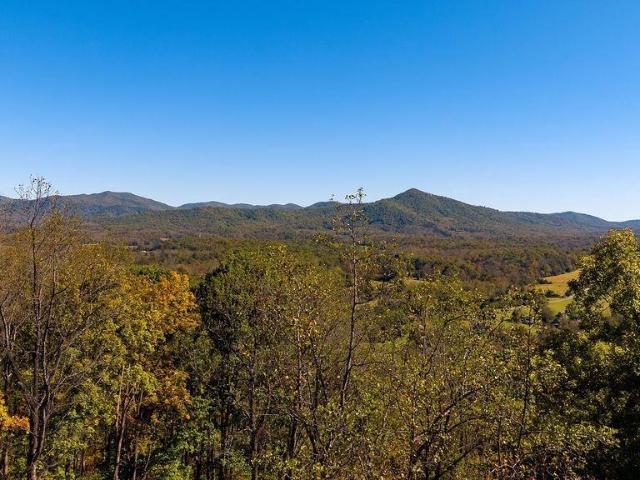 Land for sale in Nellysford, Nelson County