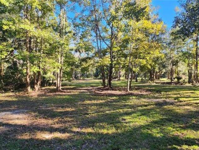 Land for sale in Bunnell, Florida