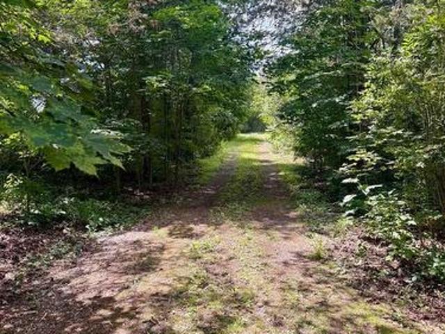 Land for sale in Prince Edward, Ontario