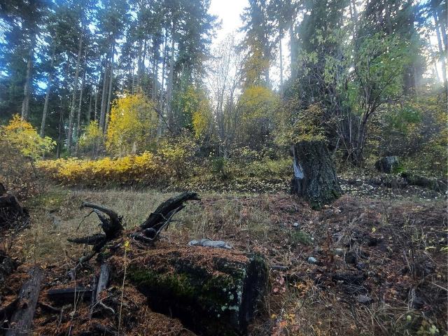 Land for sale in Cle Elum, Washington