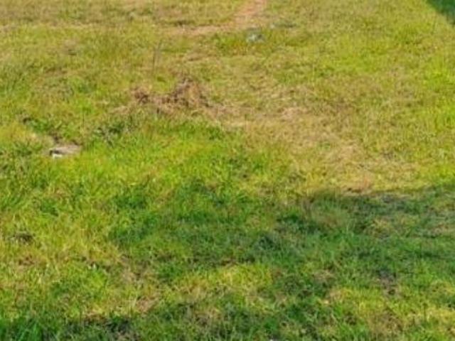 Land for sale in Mpumalanga