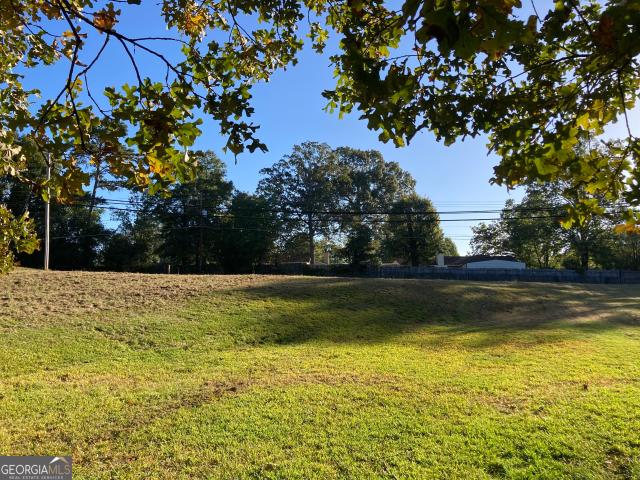 Land for sale in Box Springs, Georgia