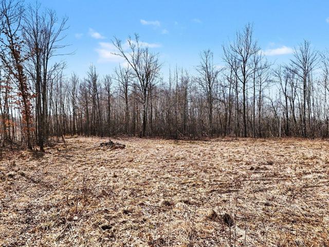 Land for sale in Harris, Minnesota