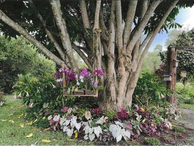 House for sale in Naples, Florida