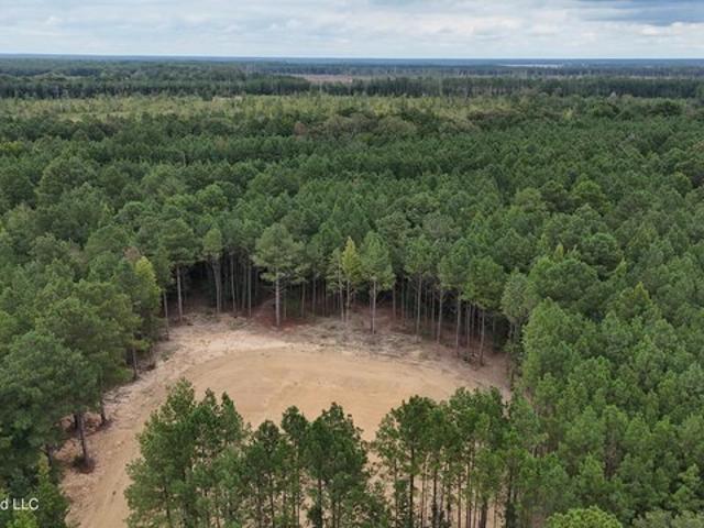 Land for sale in Lena, Leake County